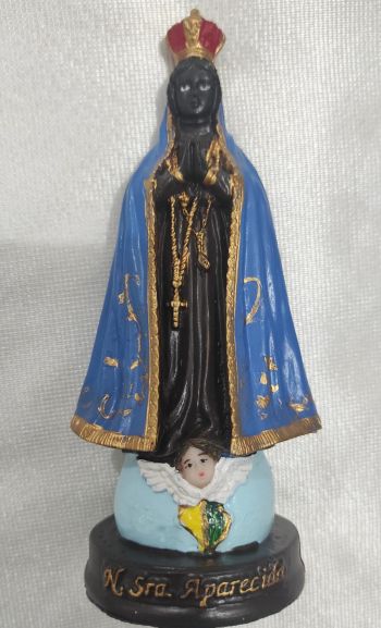 ns-aparecida-bandeira