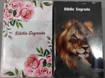 biblia-sagrada